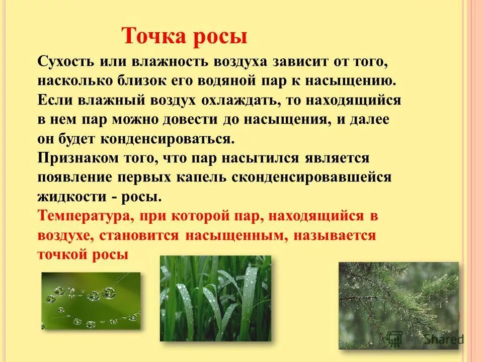 какой воздух влажный а какой сухой. перенасыщенный влажный воздух. какой воздух влажный или сухой задерживает. давление насыщенного влажного воздуха. влажность воздуха.