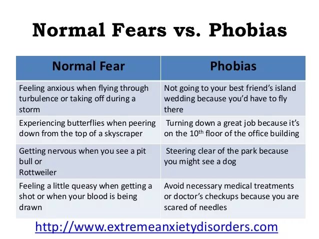 Can be a fear of. Phobia Fear разница. Fears and Phobias. Types of Phobias презентация. Fears and Phobias картинки.