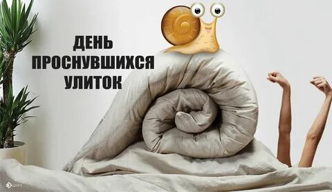 День дивана 17 августа картинки