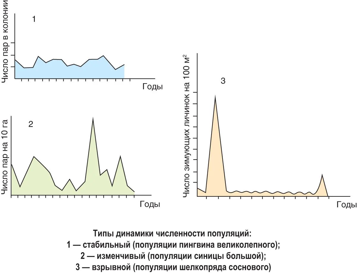 Стабильный Тип динамики популяции. Взрывной Тип динамики популяции. График динамики численности популяции. Типы популяционной динамики график.