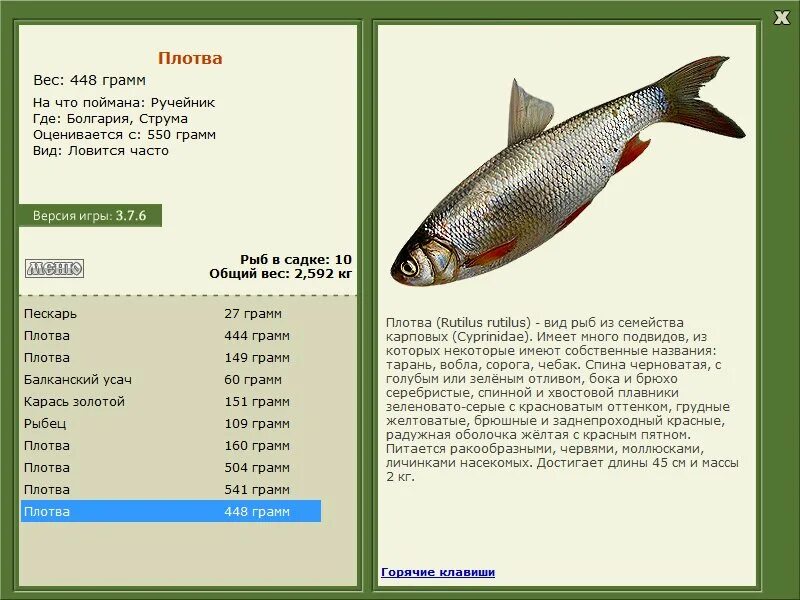 реальная рыбалка чебак.