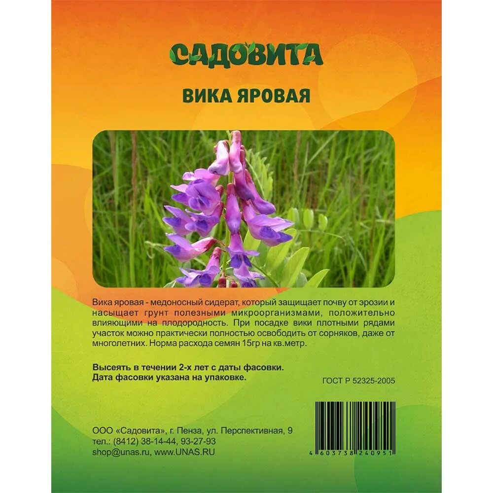 Сидерат вика озимая. Вика медонос. Трава вика описание. Вика сидерат фото. Вика посевная растение.