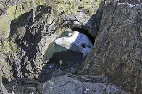 Серебряные горны