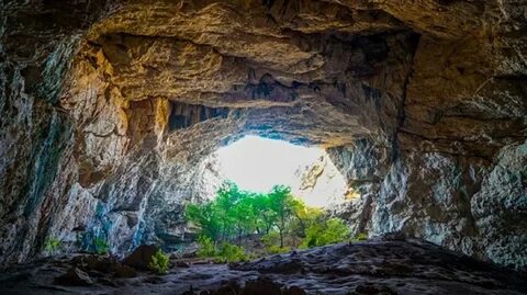 Қыз келді де трусисына сидиді