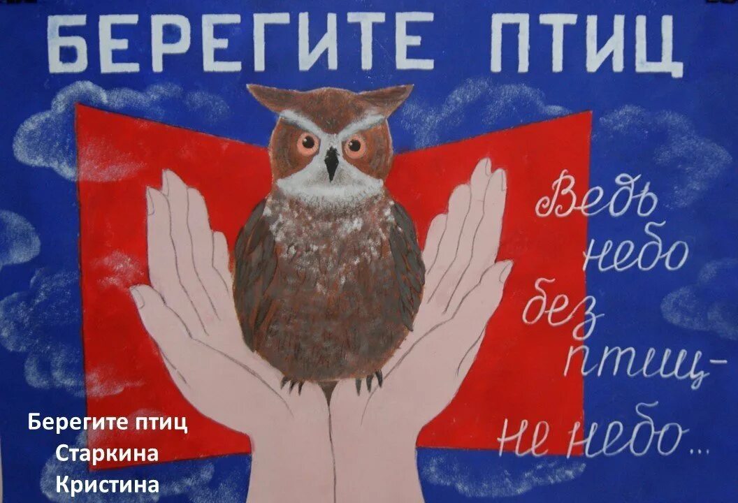 Лозунг птиц. Птицы наши друзья. Девиз про птиц. Плакат покорми птиц зимой. Цитаты о птицах для детей.