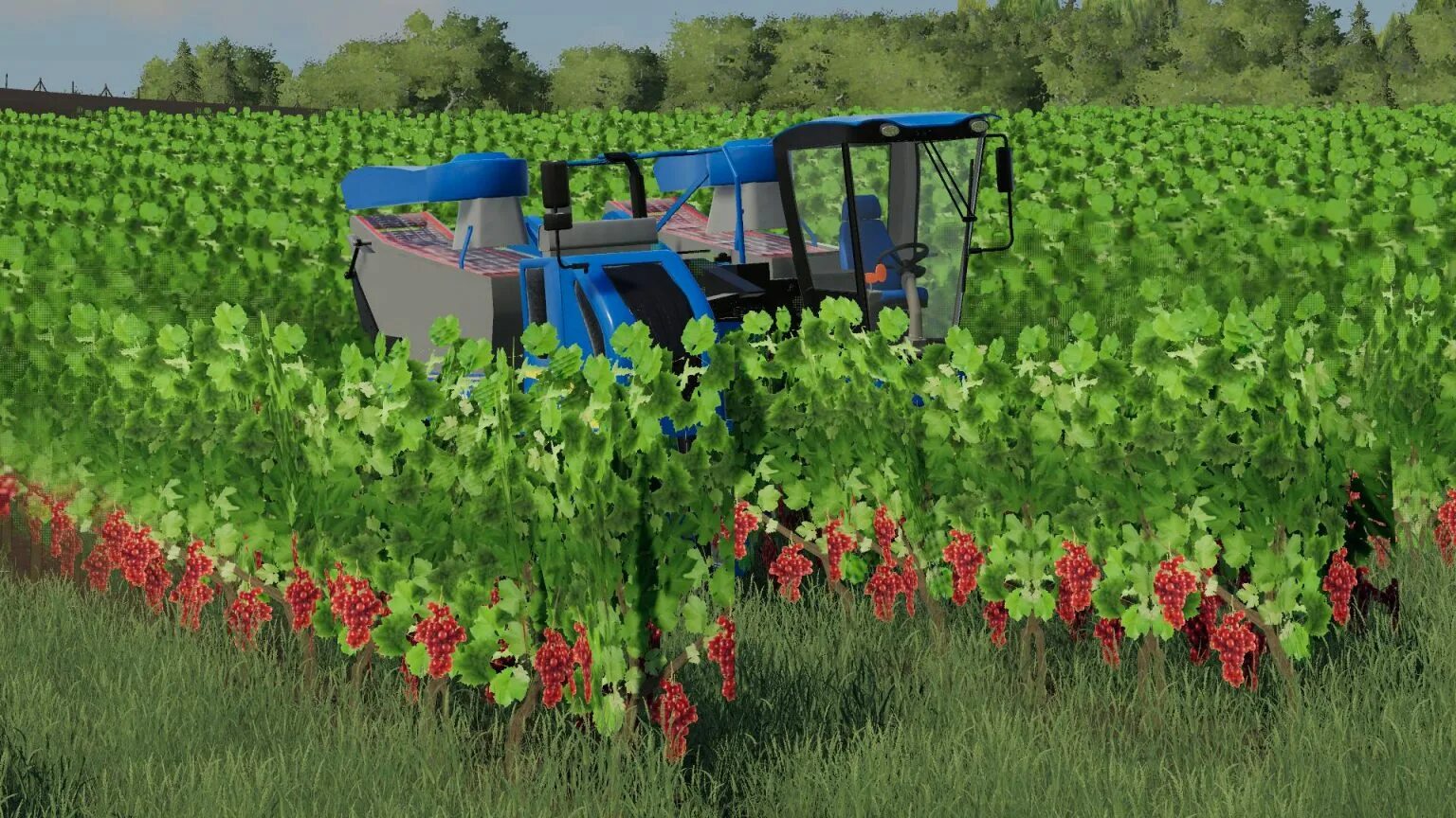 Моды на ферму симулятор 19. Фс19 виноградник. Farming Simulator 22. Виноградники из FS 22 для FS 19. Farming Simulator 2022.