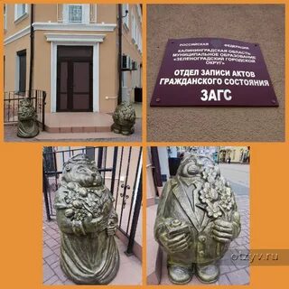 Калининградская область сайт загс