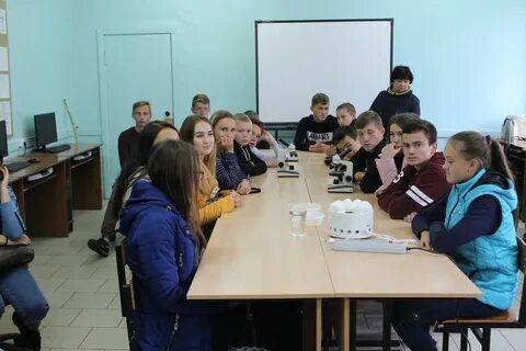 Сайт вурнарского сельскохозяйственного техникума