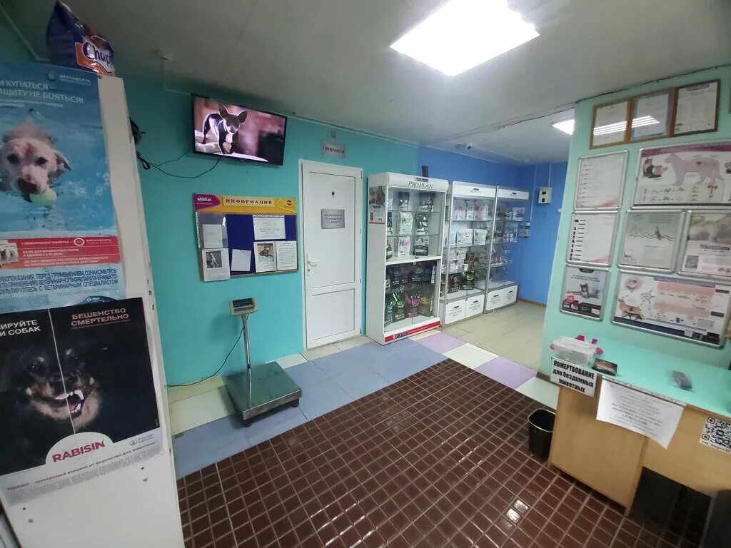 ветеринарная клиника аргус астрахань. барс клиника астрахань кирова. ветеринарная клиника багира астрахань. ветлечебница астрахань. ветлечебница астрахань.