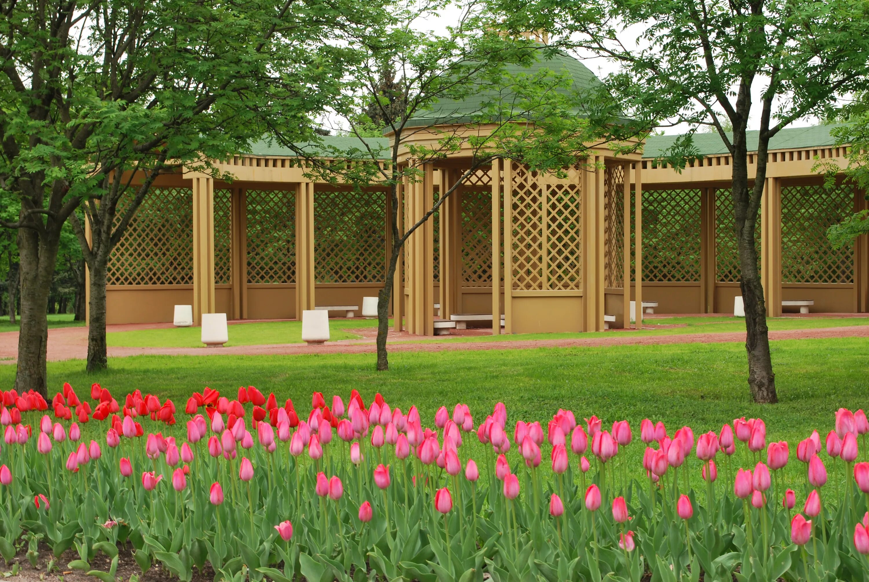 Парк 50-летия октября москва. Сады 50 лет октября. Сады 50 лет октября. Детсад 2 чебоксары. Октябрь москва парк.