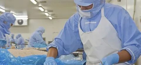 Система пищевого производства
