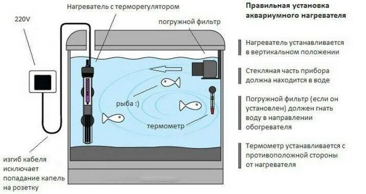 Если в электронагревательном приборе отсутствует терморегулятор. Как ставить нагреватель в аквариум. Как устанавливать водонагреватель аквариумный. Схема аквариумного нагревателя. Как устанавливать подогреватель воды для аквариума.