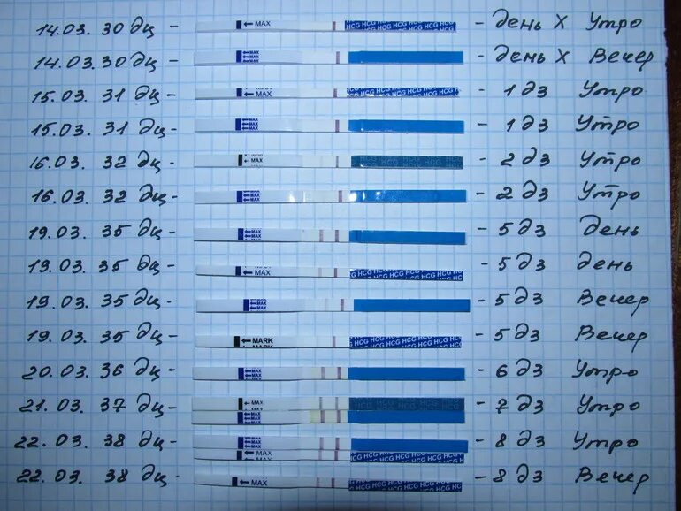 5 дней беременности какой тест покажет. Тест на беременность по дням цикла динамика. Тестна беременость по дням. Тест на беременность потлням. Тест на беременность подн,м.