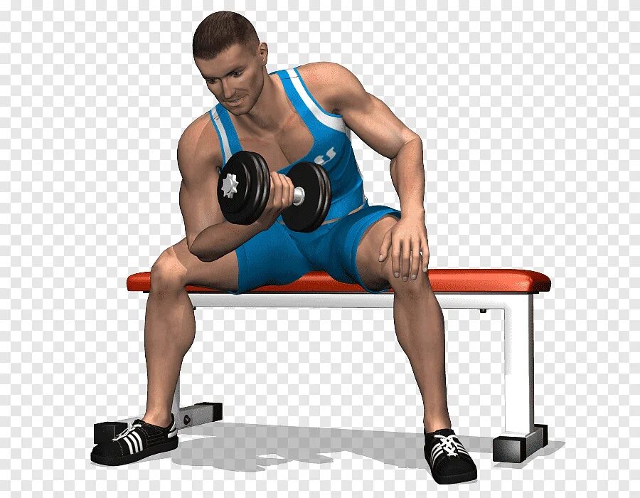 Dumbbell curls