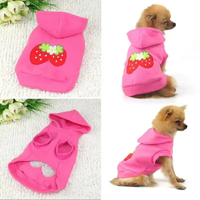 Вязаная одежда для собак. Вязаные костюмы для собак. Одежда для собак чихуахуа мальчиков. Чихуахуа в одежде. Одежда для собак чихуахуа своими руками.