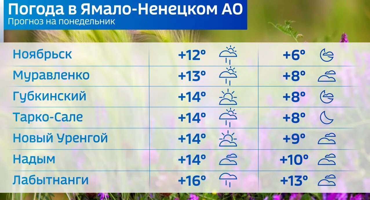 Погода в ноябрьске. Температура сегодня ноябрьск. Ноябрьск 24. Погода 7 ноябрьск. Погода 7 ноябрьск.