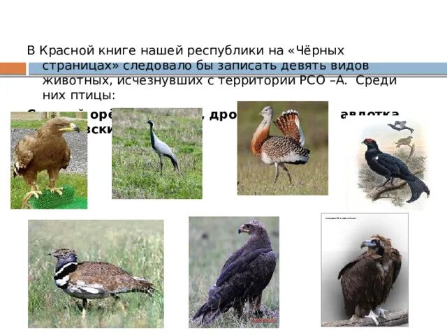 Черные страницы красной книги животные. Животные с черных страниц красной книги россии. красная книга черные страницы птицы. птиц с черных страниц красной книги. черные страницы красной книги россии птицы.