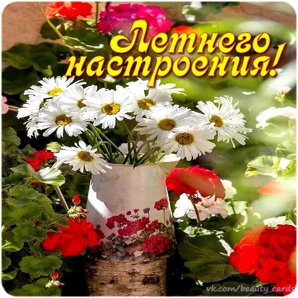 Открытка желаю бодрости хорошего настроения. Открытки бодрого утра. Открытка бодрого настроения. Счастья здоровья летнего настроения. Позитивные открытки.