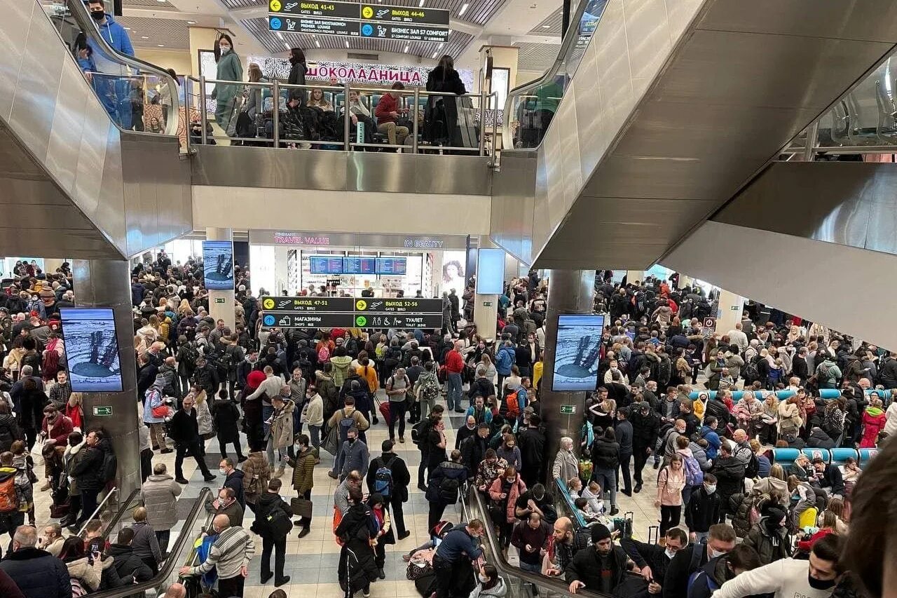 24 января 2011 домодедово. очередь в аэропорту. теракт в аэропорту домодедово 2011. взрыв в аэропорту «домодедово» в 2011г. ситуации в аэропорту.