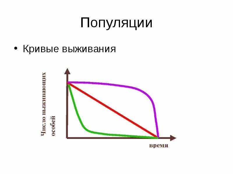 Как выглядит кривая зависимости выживаемости от таких. Кривая выживания. типы кривых выживания. кривая выживания популяции. кривые выживаемости популяций.