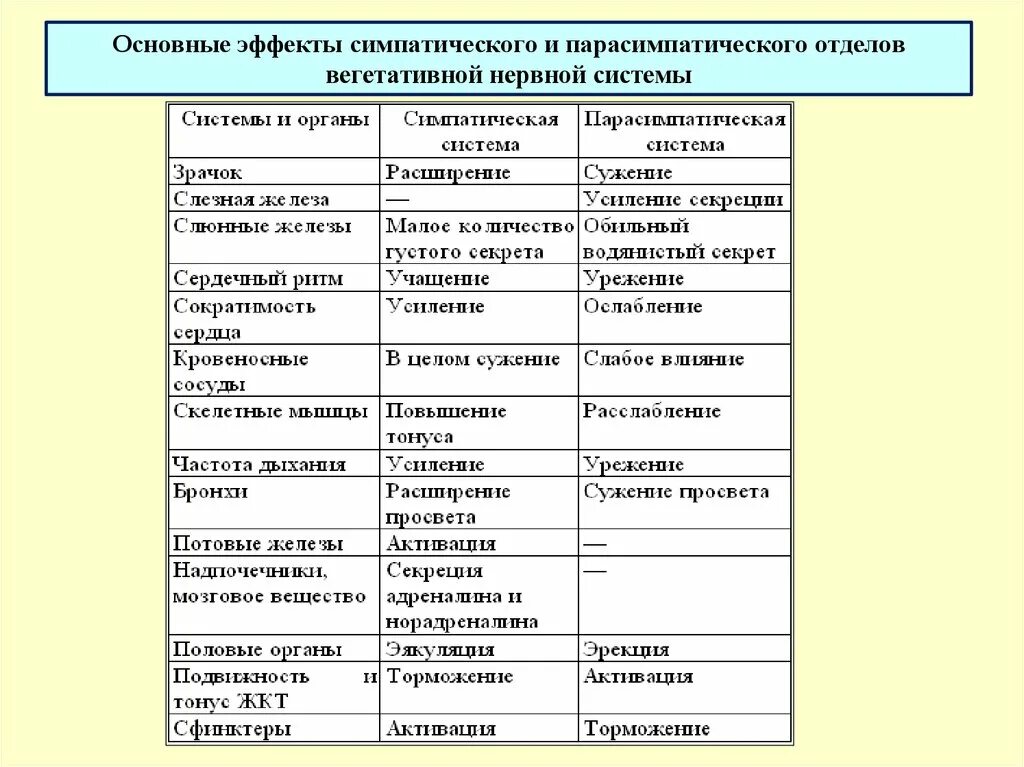 Парасимпатическая вегетативная нервная система функции. Влияние симпатической и парасимпатической систем на органы таблица. Таблица влияние симпатической и парасимпатической. Функции отделов вегетативной нервной системы таблица. Функции симпатической и парасимпатической нервной системы таблица.