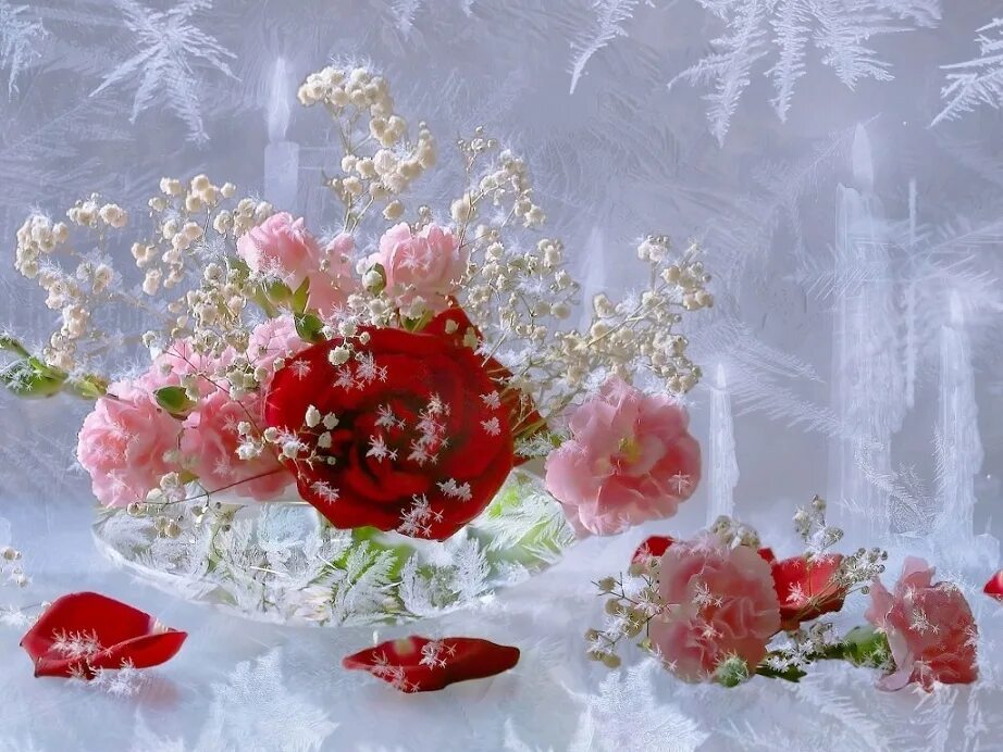 Добро красивые картинки мерцающие. Нежные зимние цветы. Фон цветы зима. Открытки зимние цветы. Зимний букет открытка.