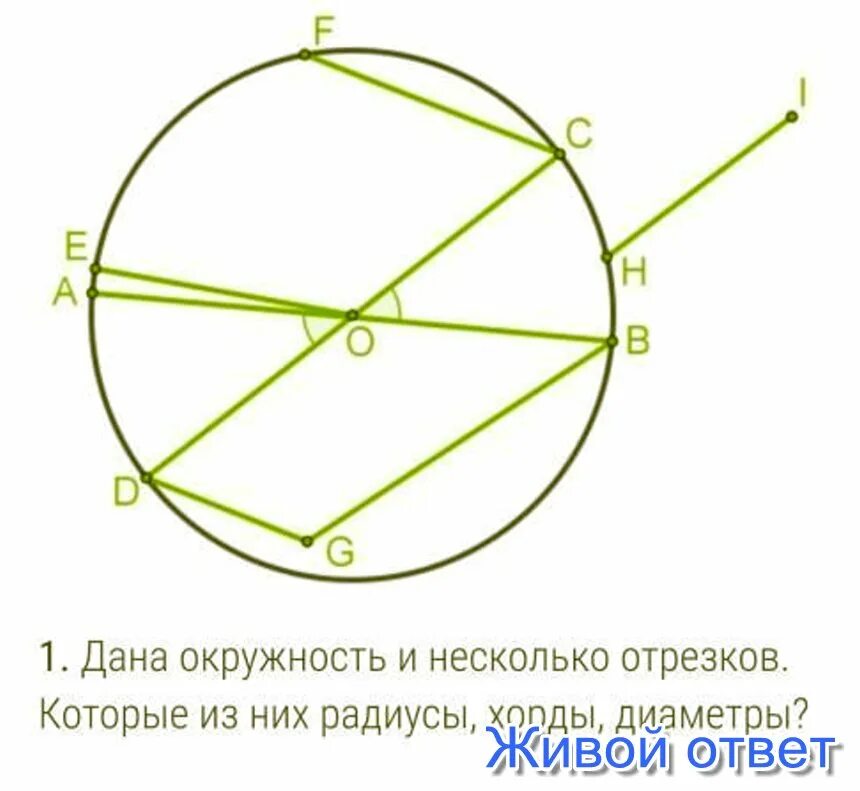 Окружность радиус диаметр хорда. Много хорда на окружности. Хорда и диаметр окружности.