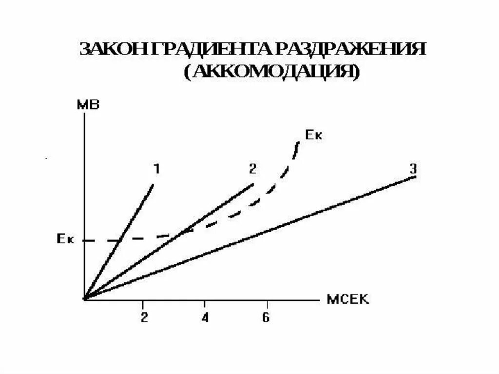 Нарастание силы. Закон градиента физиология. Закон градиента раздражения. Закон градиента раздражения аккомодация. Закон градиента раздражения физиология.