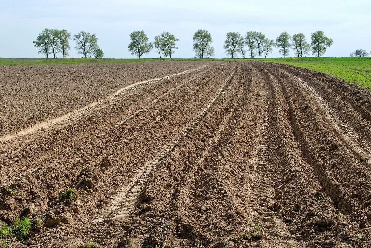 выравнивание грунта на участке. сенокос распашка. правильная распашка склонов. распашка древних поселений нсо. распаханная степь.