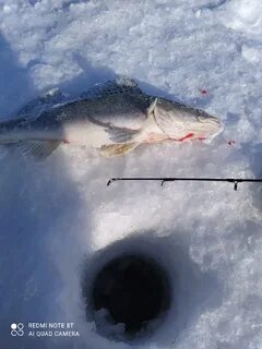 Рыбалка в новосибирском водохранилище