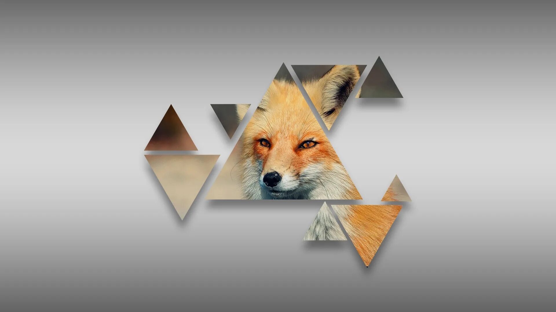 Foxes youtube. Заставка на рабочий стол лиса. Обои на рабочий стол с лисами. Лиса арт Минимализм. Лиса арт абстракция.