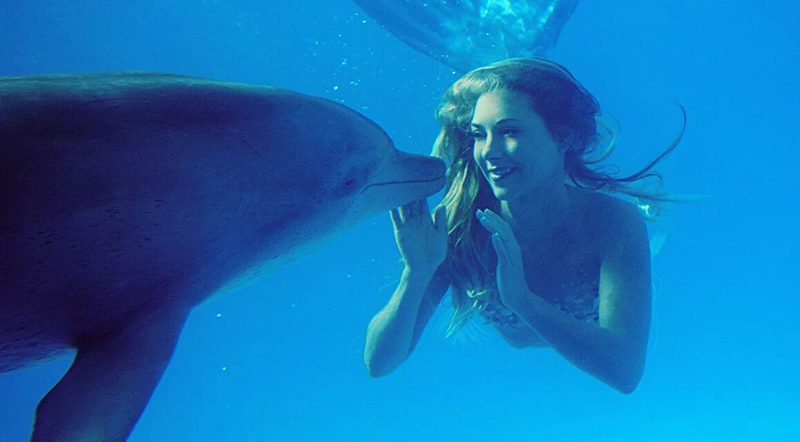 в синем море плавают дельфины песня. дельфины на рабочий стол. стих про дельфина. девушка и дельфин. в синем море плавают дельфины песня.