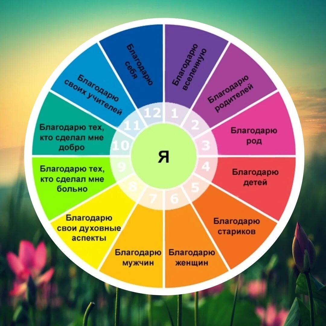 Благодарность вселенной на каждый. Практика благодарности. Практика благодарности на каждый день. Практика благодарности Вселенной. Благодарности на каждый день вселенную.