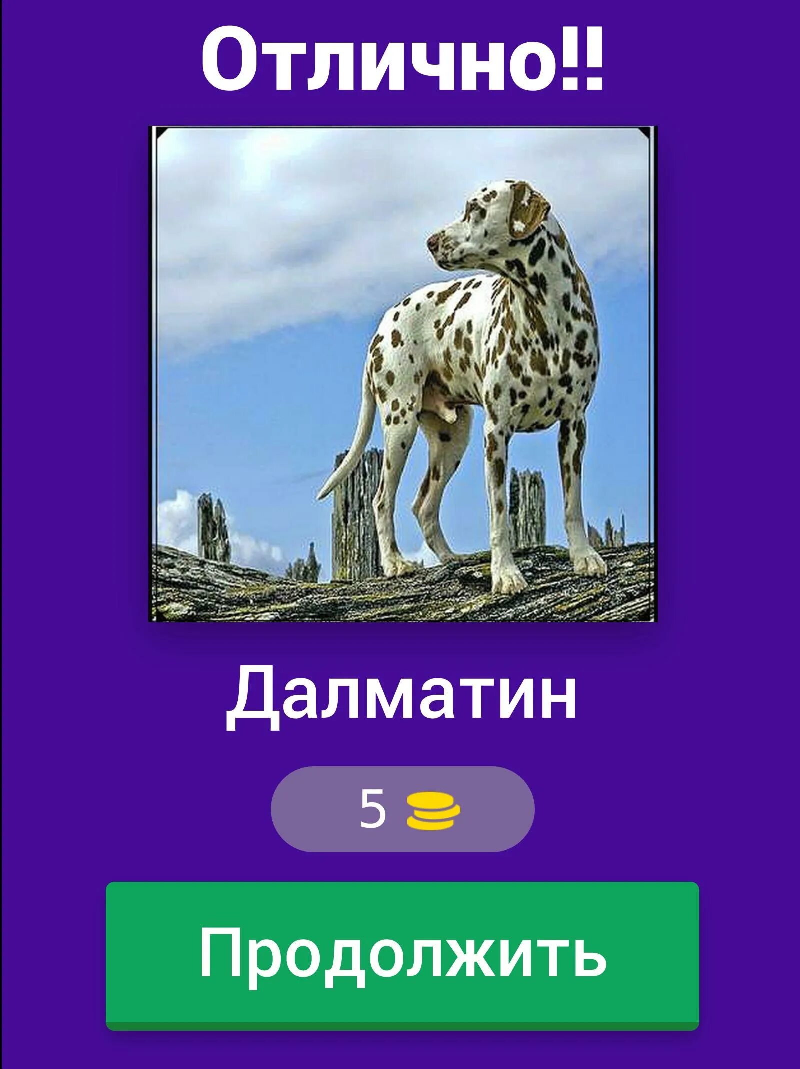 Угадай собаку. Угадай собаку