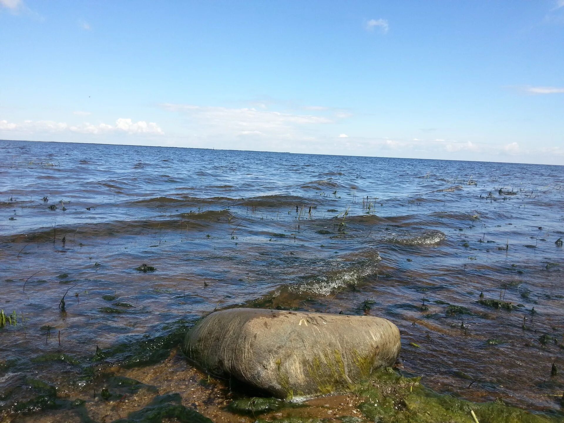 Погода милюшино рыбинский. Милюшино Рыбинское водохранилище. Рыбинское море Милюшино. Милюшино Рыбинское водохранилище пляж. Пляж в Милюшино Рыбинск.