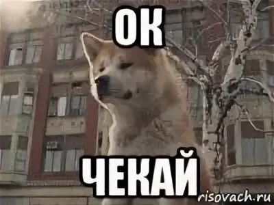 Чекните это
