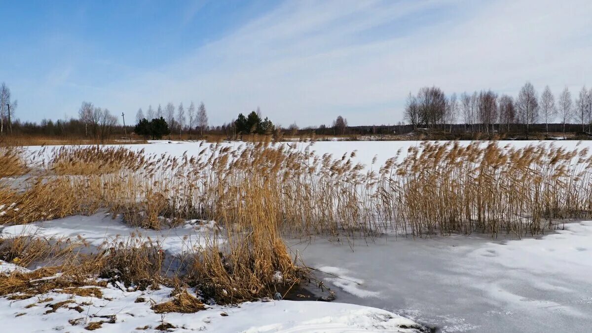 апреле форум