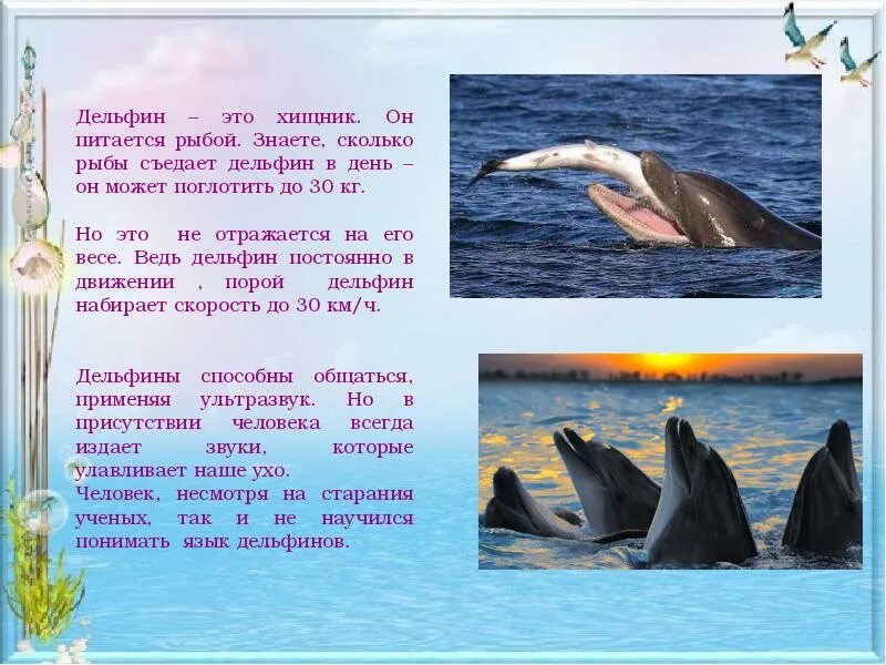 Легенда поведала о дельфине как понять выражение
