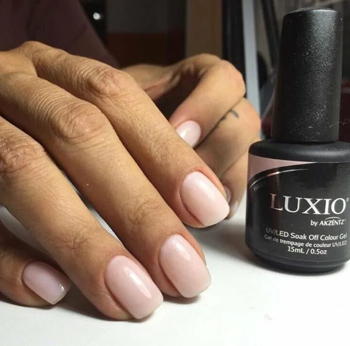 Лаки люксио купить. Luxio гель лак Heaven. Luxio Polar гель лак. Люксио 101 Mystery. 600 Luxio Pearl.