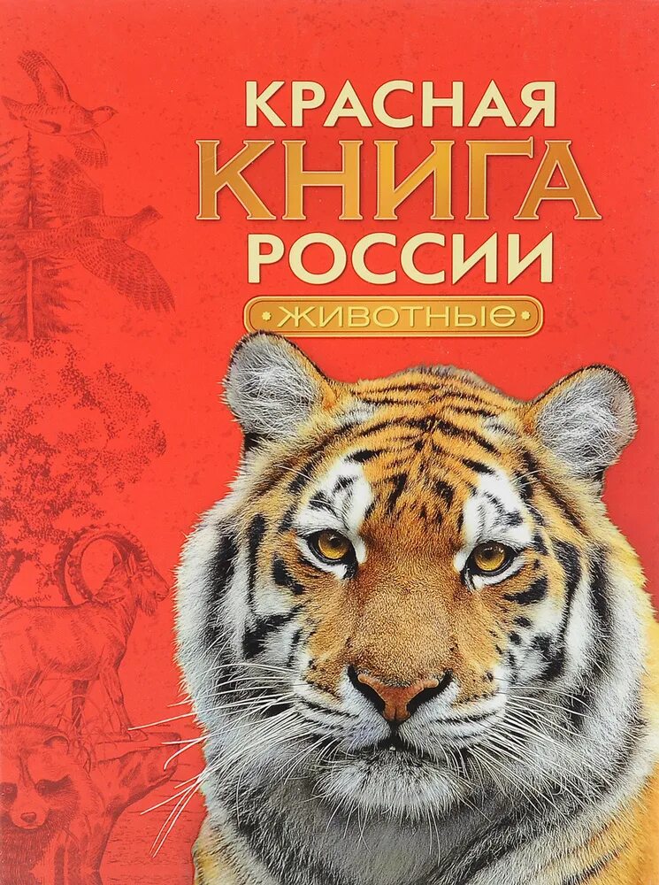 Пиши красная книга. Красная книга. Животные красной книги Росс. Красная книга обложка. Красная книга российс....