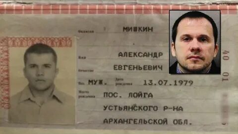 Мишкин данные