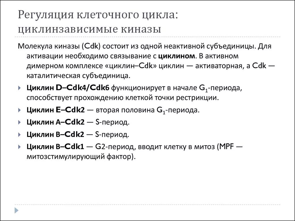 Регуляция клеточного цикла. Регуляция клеточного цикла. Регуляция клеточного цикла. Как осуществляется регуляция клеточного цикла. Функции регуляторов клеточного цикла.