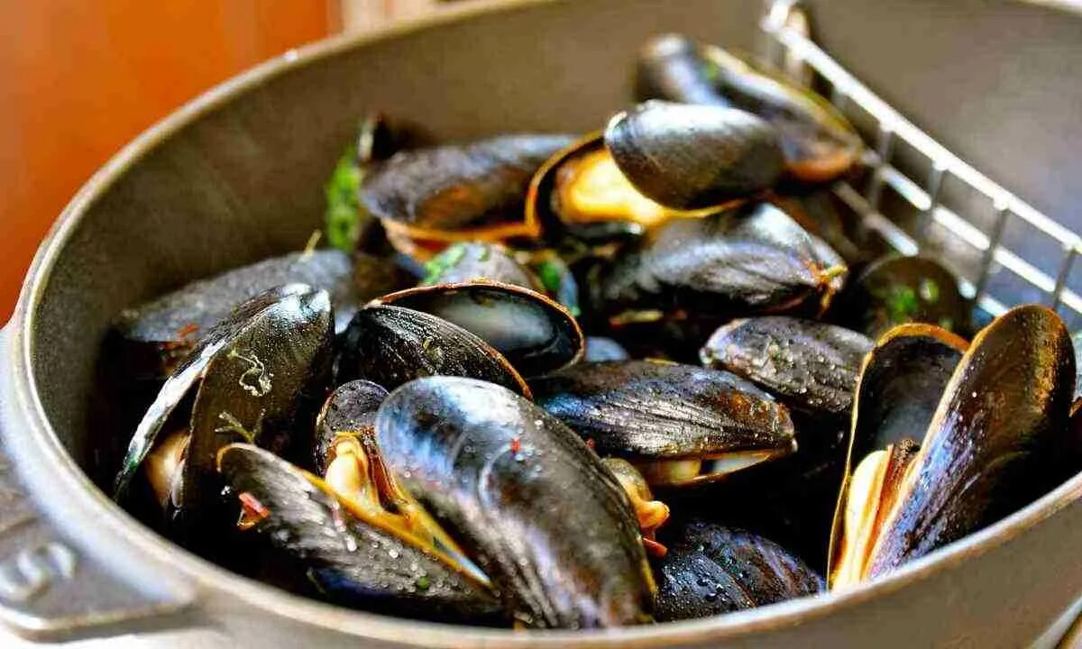 Мидии в масле польза. Мидии виши. Испорченные мидии. Мидии в масле польза. Мидии консервированные.