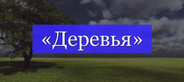 Равнина или равнина. Корни с чередованием. Известный корень. Равнинный корень. Открытые травянистые кустарниковые равнины.