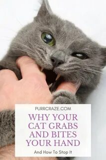 Can i bite you