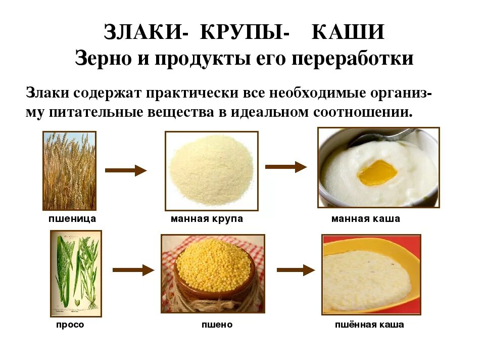 Злаковым является. Крупы и злаки список. Список злаковых продуктов. Злаковые крупы перечень. Злаковые продук.