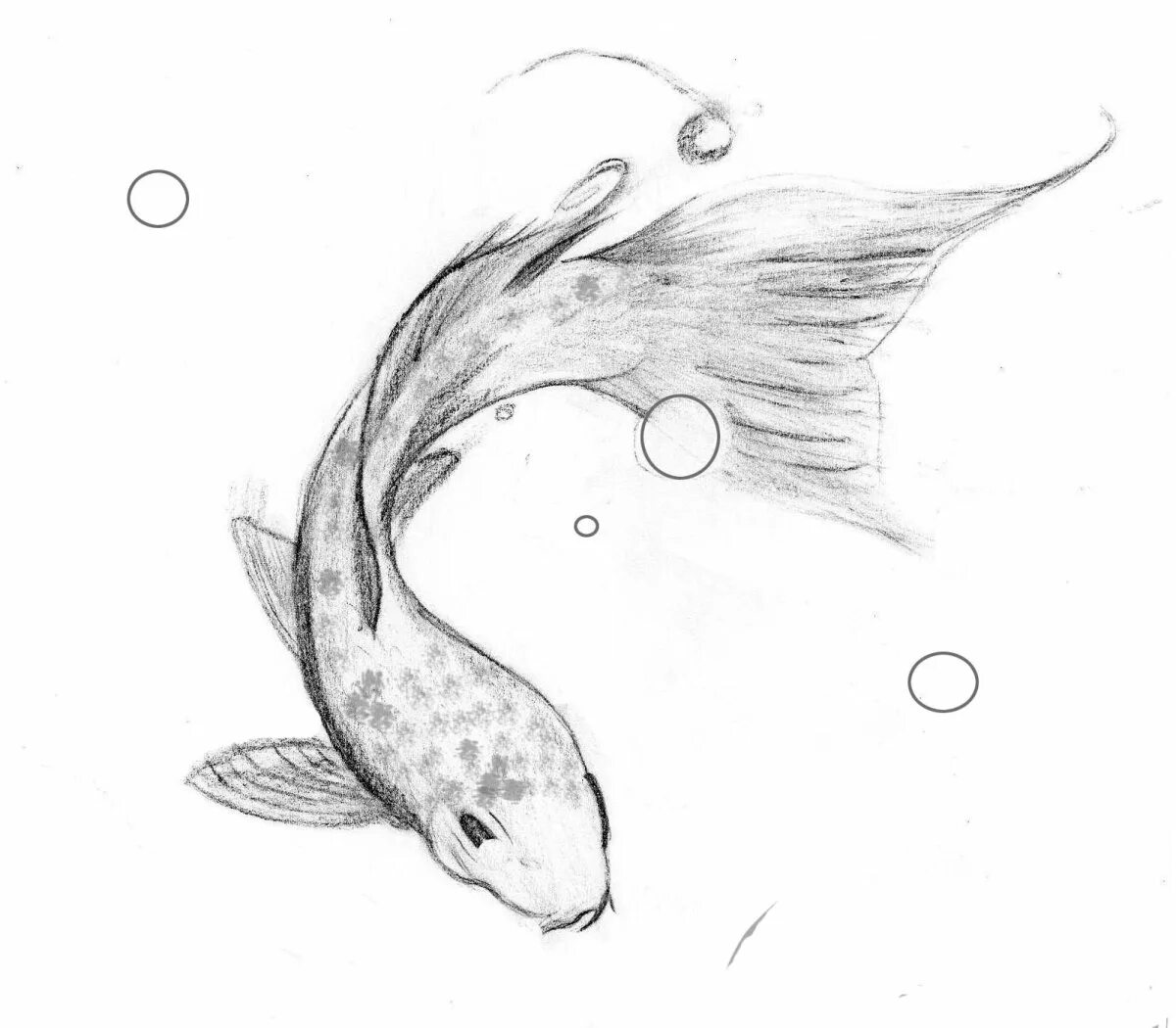 Рисунок рыбы карандашом для срисовки. Рыба карандашом. Рыбка рисунок карандашом. Рисунки рыбок для срисовки. Нарисовать рисунок рыбу