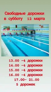 Расписание бассейна могилев