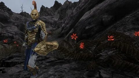 Skyrim engine