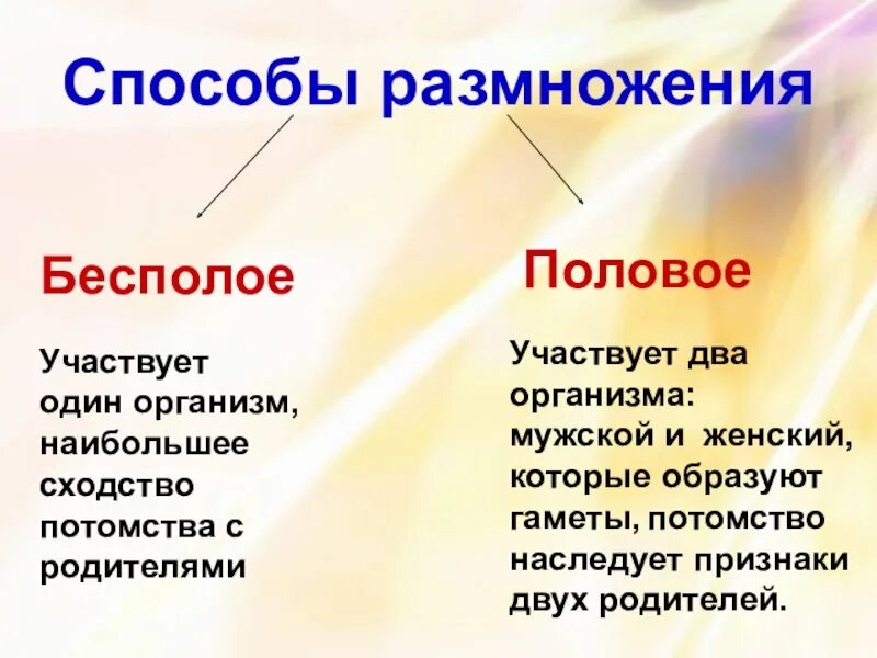 Бесполое размножение. Бесполое размножение это в биологии. Беспалова размножение. Размножение это в биологии.